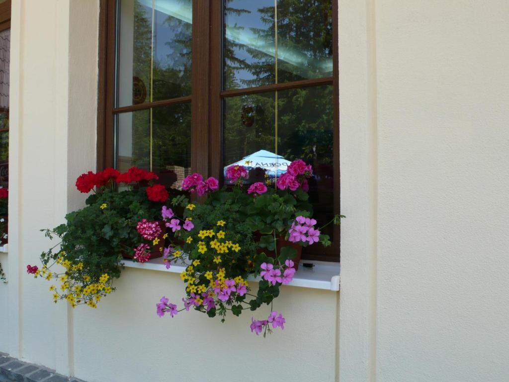 Hotel Ruia Poiana Brasov Exteriör bild